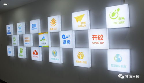 合作市電子商務(wù)公共服務(wù)中心正式啟動(dòng)，賦能電商運(yùn)營(yíng)管理服務(wù)新篇章