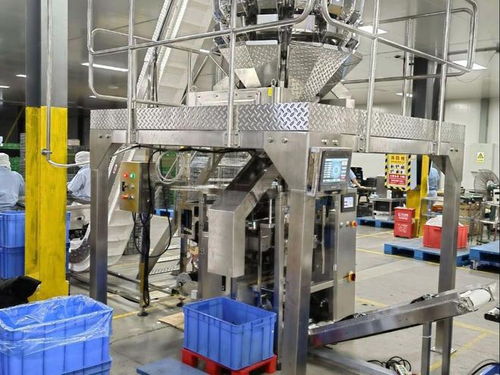 全自動膨化食品包裝設(shè)備品牌推薦 賦能蝦條、薯片、蝦片、鍋巴高效生產(chǎn)